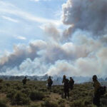 Goldilocks Conditions pour les incendies de forêt: vingt ans de données montrent quelles zones sont les plus à risque Goldilocks Conditions pour les incendies de forêt: vingt ans de données montrent quelles zones sont les plus à risque