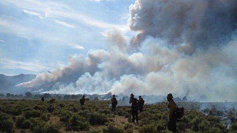 Goldilocks Conditions pour les incendies de forêt: vingt ans de données montrent quelles zones sont les plus à risque