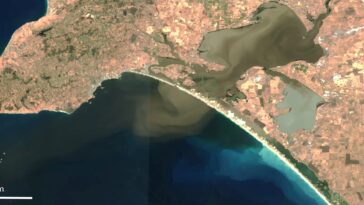 Il est temps de se préparer à une meilleure surveillance des eaux de crue à Murray Mouth