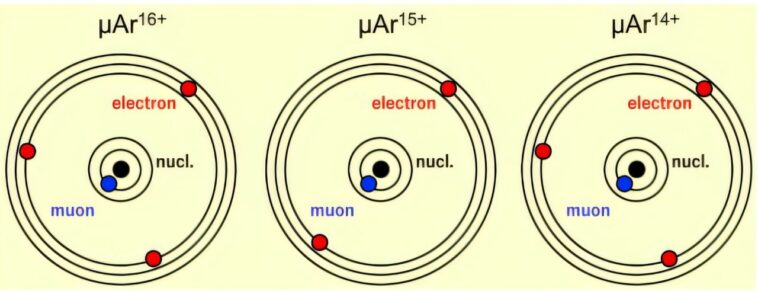 Ions muoniques hautement chargés observés dans l'expérience en phase gazeuse pour la première fois
