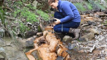 Jarosite: une éponge dorée pour nettoyer les métaux