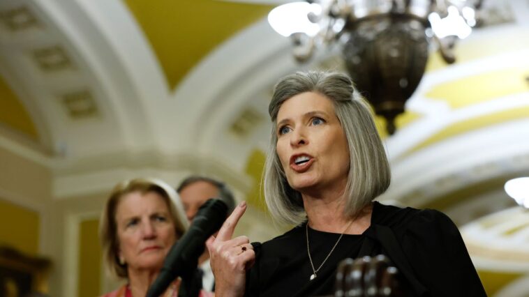 Joni Ernst ne sait pas comment expliquer autrement, elle ne donne pas un f - k sur votre Medicaid