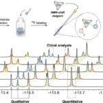 L'IA transforme le développement de nouveaux médicaments avec une analyse simultanée de 21 réactions chimiques L'IA transforme le développement de nouveaux médicaments avec une analyse simultanée de 21 réactions chimiques