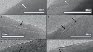 L'acide aminé-commun de météorite induit la formation de nanocavités dans l'argile minéral, faisant allusion aux origines de la vie
