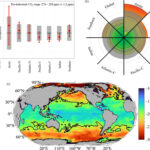 L'acidification de l'océan a peut-être traversé la «frontière planétaire» il y a cinq ans