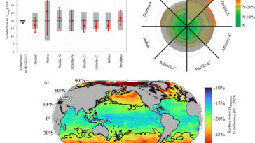 L'acidification de l'océan a peut-être traversé la «frontière planétaire» il y a cinq ans