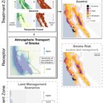 L'application Wildfire Smoke met en évidence les risques pour les populations vivant près des frontières urbaines-rurales L'application Wildfire Smoke met en évidence les risques pour les populations vivant près des frontières urbaines-rurales