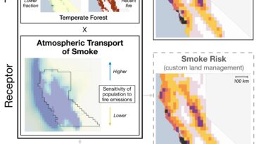 L'application Wildfire Smoke met en évidence les risques pour les populations vivant près des frontières urbaines-rurales