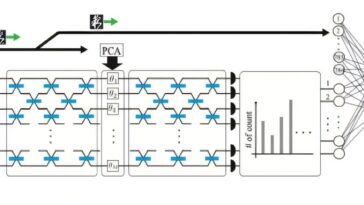 L'échantillonnage du boson trouve les premières applications pratiques en AI quantique
