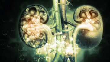 L'édition de gènes pourrait traiter les dommages causés par une maladie rénale «irréversible»