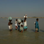 L'étude révèle que les vagues planétaires liées au temps d'été sauvage ont triplé depuis 1950