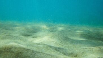 L'exploitation maritime est en train de devenir un point d'éclair environnemental - NZ devra bientôt choisir un côté