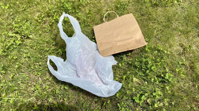 L'utilisation du sac en plastique du Vermont a chuté de 91% après l'interdiction, les chercheurs trouvent L'utilisation du sac en plastique du Vermont a chuté de 91% après l'interdiction, les chercheurs trouvent
