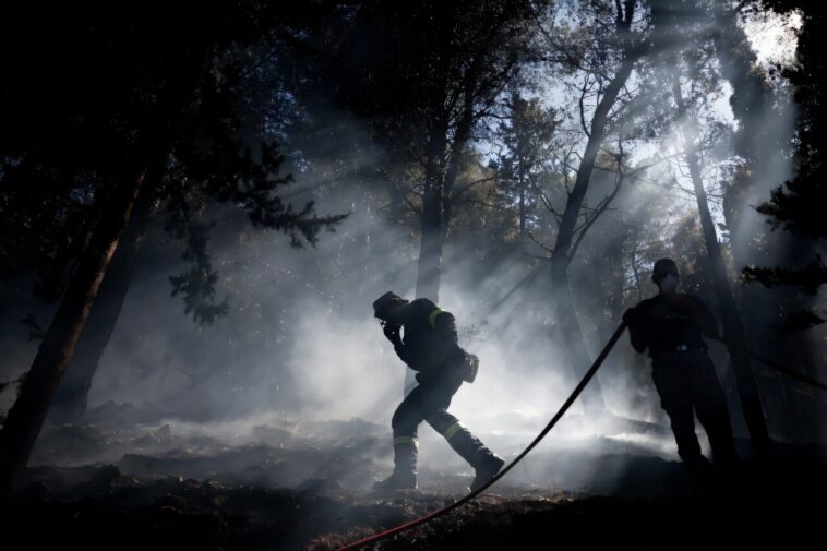 La Grèce déclare l'urgence sur les Chios sur les incendies de forêt