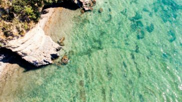 La NZ a un vaste territoire maritime mais est en retard sur d'autres nations pour protéger l'océan