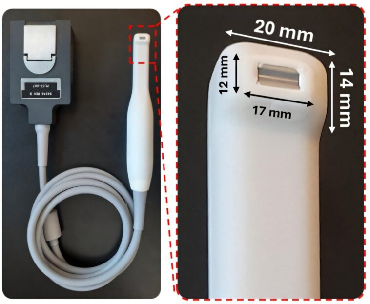 La brosse à dents à ultrasons promet des contrôles indolores pour les problèmes de gencives cachées