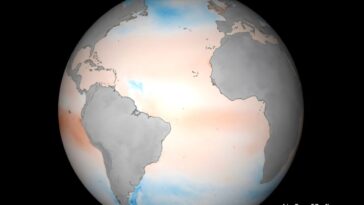 La cartographie haute résolution révèle des détails de puits de carbone océan