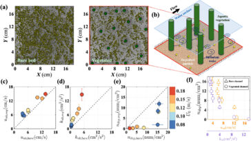 La distribution du biofilm aide à identifier les zones où les microplastiques s'accumuleront