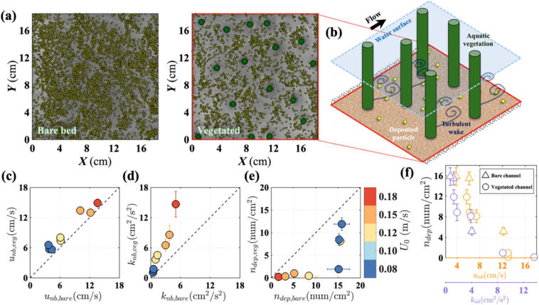 La distribution du biofilm aide à identifier les zones où les microplastiques s'accumuleront La distribution du biofilm aide à identifier les zones où les microplastiques s'accumuleront