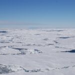 La glace de mer joue un rôle important dans la variabilité de l'absorption de carbone par l'océan Sud La glace de mer joue un rôle important dans la variabilité de l'absorption de carbone par l'océan Sud