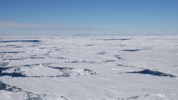 La glace de mer joue un rôle important dans la variabilité de l'absorption de carbone par l'océan Sud
