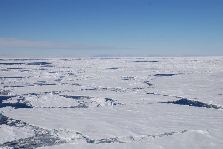La glace de mer joue un rôle important dans la variabilité de l'absorption de carbone par l'océan Sud