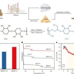 La nouvelle colle chaude à base de bio à partir de restes industriels surpasse les adhésifs commerciaux