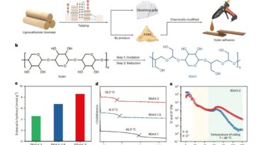 La nouvelle colle chaude à base de bio à partir de restes industriels surpasse les adhésifs commerciaux