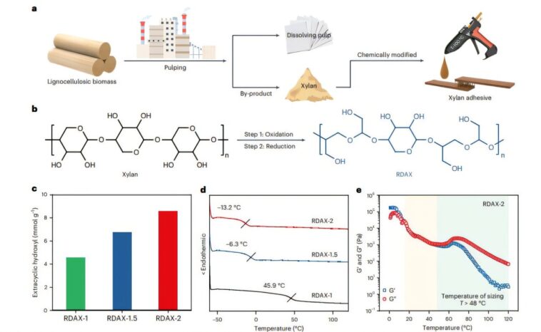 La nouvelle colle chaude à base de bio à partir de restes industriels surpasse les adhésifs commerciaux
