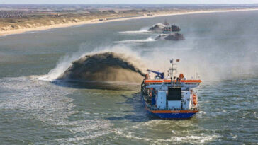 La recherche révèle des lacunes importantes dans les connaissances sur les aliments de sable côtier