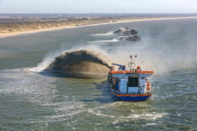 La recherche révèle des lacunes importantes dans les connaissances sur les aliments de sable côtier