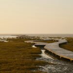 La restauration des zones humides est considérée comme un coût coulé, mais de nouvelles recherches montrent pourquoi elle devrait être considérée comme un investissement La restauration des zones humides est considérée comme un coût coulé, mais de nouvelles recherches montrent pourquoi elle devrait être considérée comme un investissement