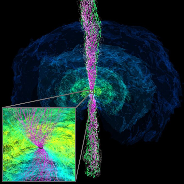 La simulation révèle l'émergence du jet à partir de fusion de l'étoile à neutrons binaires suivie d'une formation de trous noirs