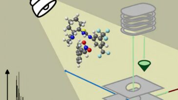 La spectroscopie infrarouge capture la structure détaillée et l'action de l'organocatalyseur en temps réel