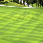 Lanne: les données de gazon peuvent améliorer les estimations des émissions de gaz à effet de serre urbaines Lanne: les données de gazon peuvent améliorer les estimations des émissions de gaz à effet de serre urbaines