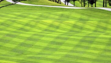 Lanne: les données de gazon peuvent améliorer les estimations des émissions de gaz à effet de serre urbaines