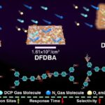 Le capteur fluorescent ultrasensible détecte le gaz sarin toxique en ajustant la densité du site de reconnaissance