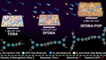 Le capteur fluorescent ultrasensible détecte le gaz sarin toxique en ajustant la densité du site de reconnaissance