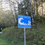 Le nouveau modèle d'apprentissage automatique améliore les précoces des avertissements de tsunami