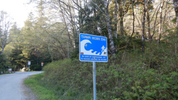 Le nouveau modèle d'apprentissage automatique améliore les précoces des avertissements de tsunami