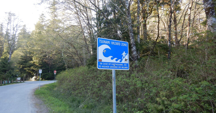 Le nouveau modèle d'apprentissage automatique améliore les précoces des avertissements de tsunami