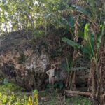 Le rocher géant sur la falaise dans les Tonga a été transporté par une vague de 50 mètres de haut