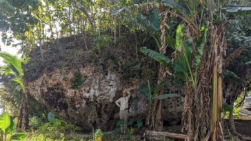 Le rocher géant sur la falaise dans les Tonga a été transporté par une vague de 50 mètres de haut
