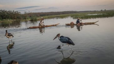 Le vaste lac de l'Éthiopie est pompé sec