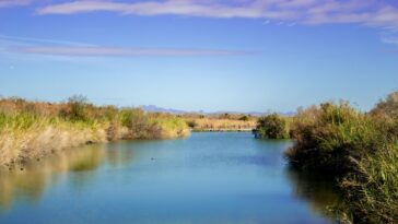 Les États du Colorado River n'ont toujours pas de plan de gestion à long terme unifié et «sont à peu près hors du temps», avertissent les experts