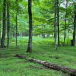 Les agriculteurs précoloniaux ont prospéré dans l'un des endroits les plus froids d'Amérique du Nord