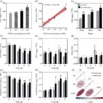 Les chercheurs révèlent un nouveau rôle du précurseur de la vitamine C dans l'amélioration de la croissance des plantes et de la production de composés bioactifs