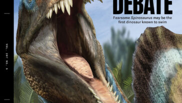 Couverture de Science News 'Mai 2025 Numéro avec un spinosaurus sur la couverture