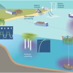Les méthodes d'élimination du dioxyde de carbone pourraient aggraver la perte d'oxygène marin, avertit l'étude