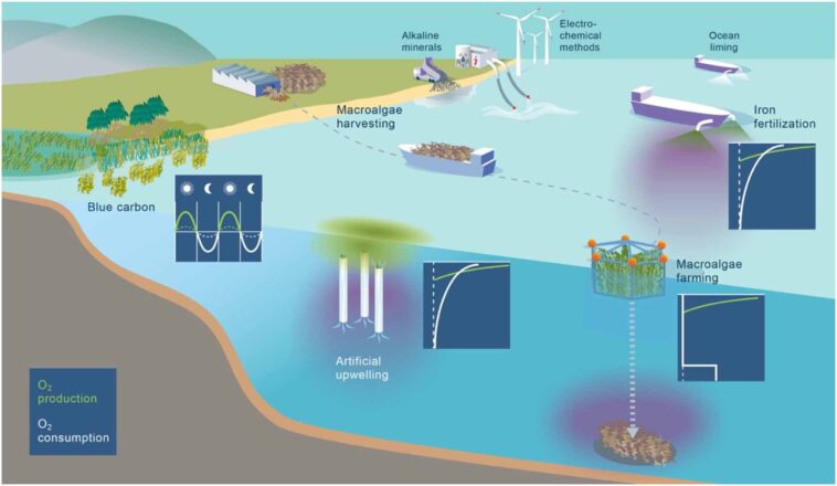 Les méthodes d'élimination du dioxyde de carbone pourraient aggraver la perte d'oxygène marin, avertit l'étude